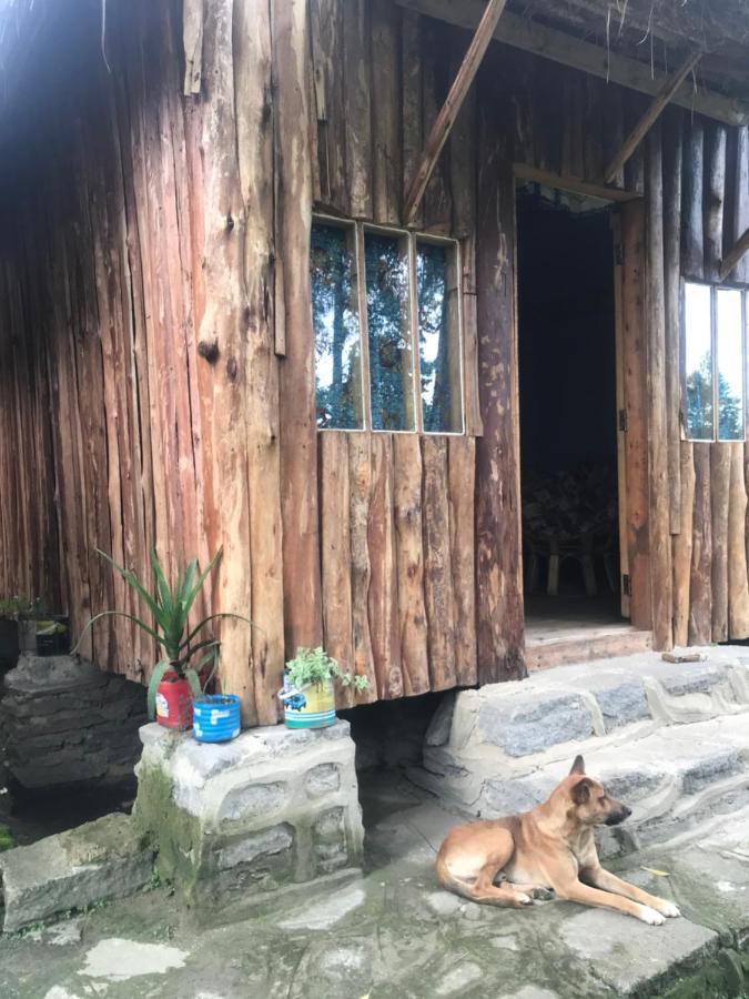 Kalitusi Backpackers Hostel&Campsite Fort Portal Exterior foto