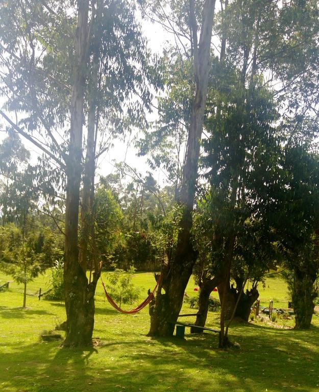 Kalitusi Backpackers Hostel&Campsite Fort Portal Exterior foto